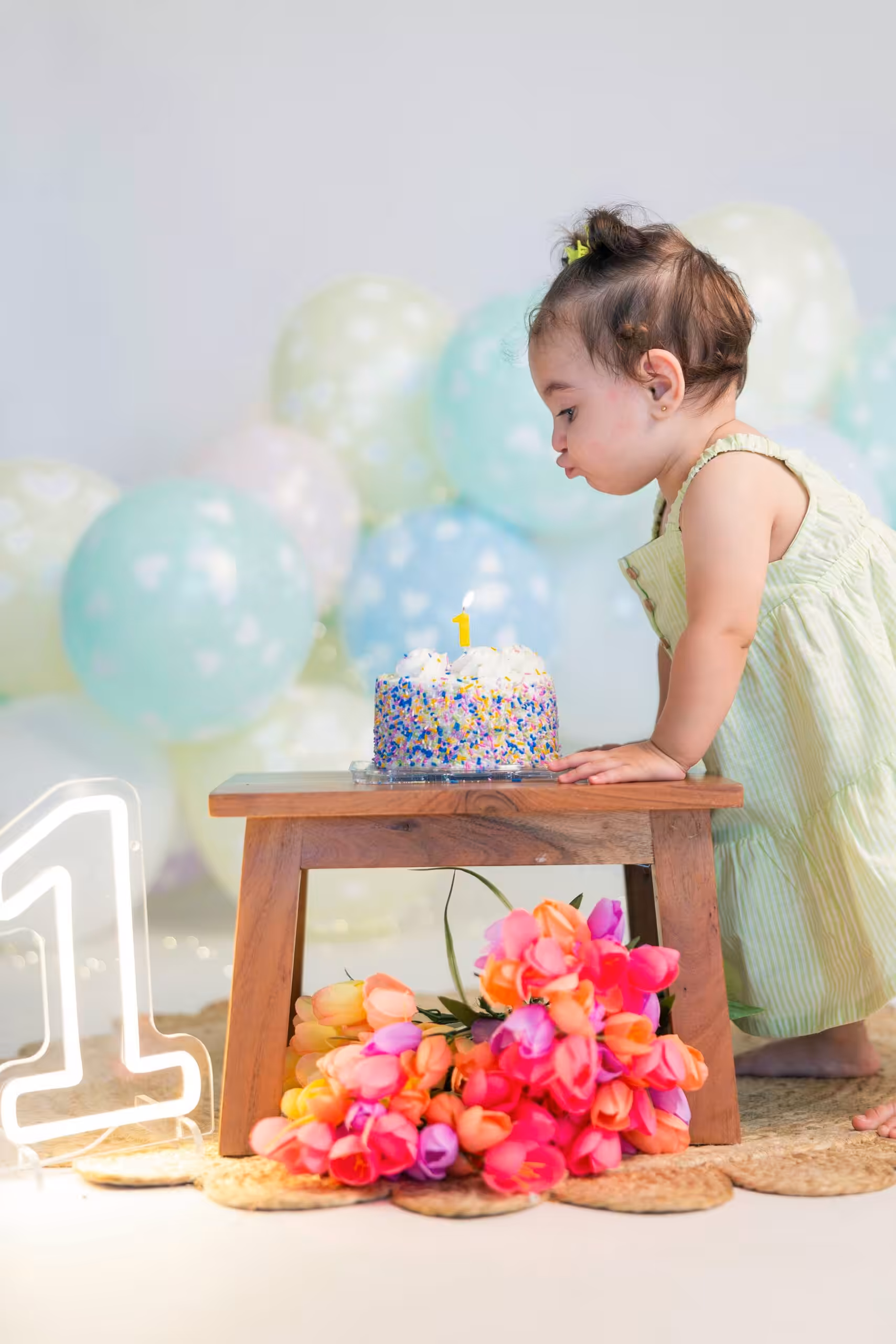 First birthday cake smash session, photographed by Studio FB USA